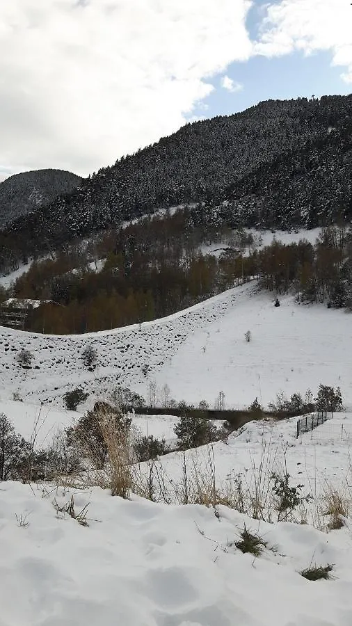 Comfortable Studio With Mountain View In Arinsal 40 M² + Ski Storage Apartamento